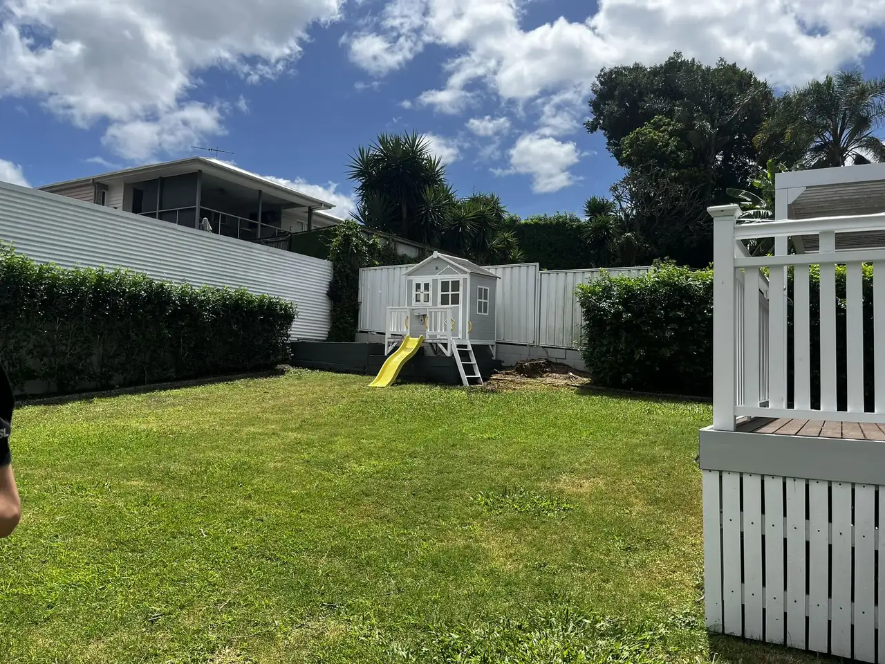 The same backyard cleared and raked after the tree removal, hedges tidy