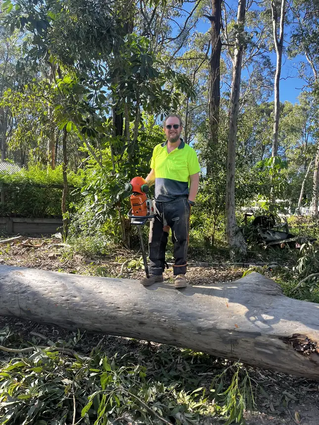 Dan's Tree Experts arborist with a chainsaw beside a felled tree