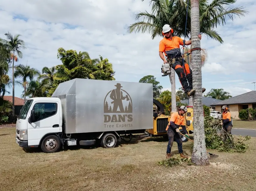 Dan's Tree Experts truck and chipper on a palm removal job in a Brisbane suburb