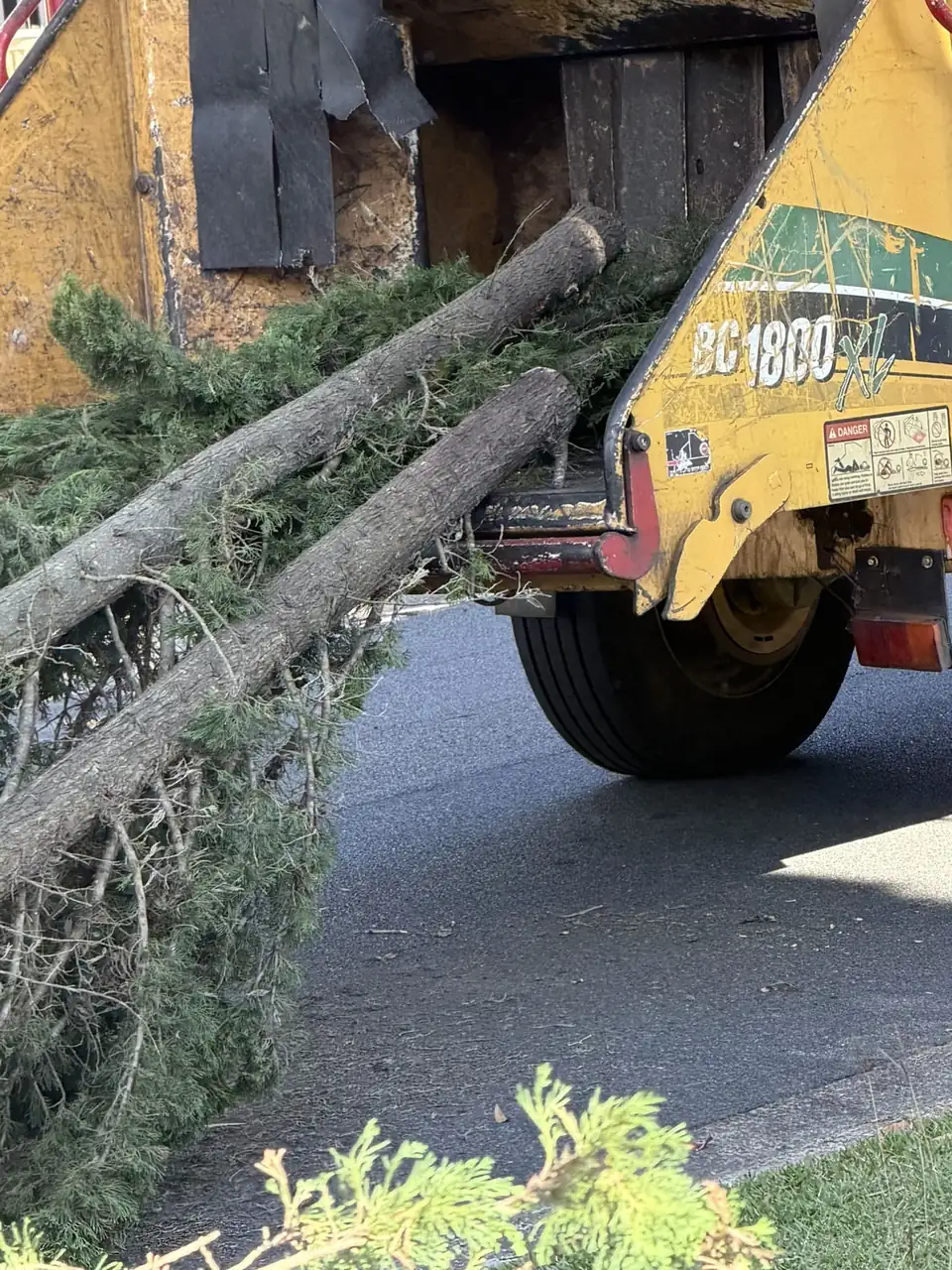 Branches being fed into the Dan's Tree Experts wood chipper